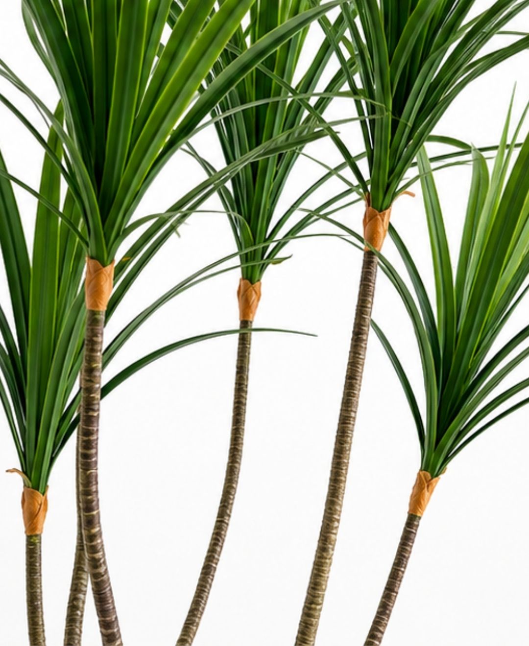 Premium Faux Dracaena Marginata Green Tree With Pot-5 FT With Pot