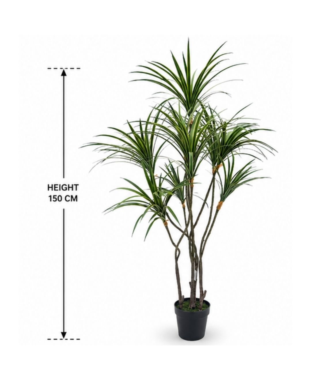 Premium Faux Dracaena Marginata White Tree With Pot-5 FT