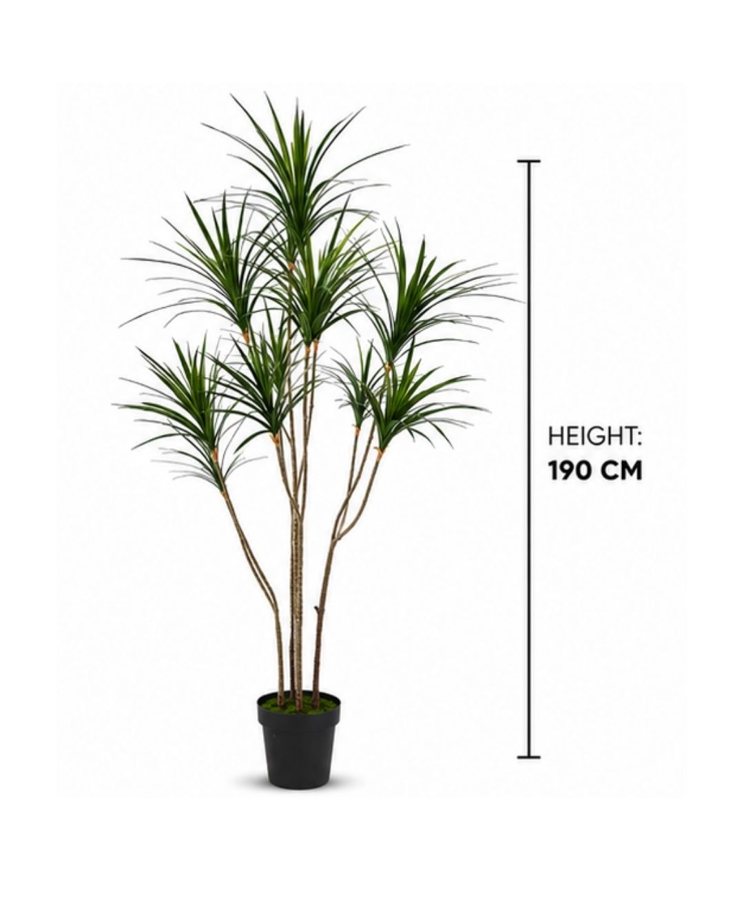 Premium Artificial Dracaena Marginata Green Plant With Pot-6 FT