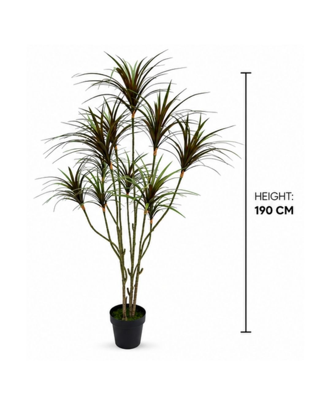 Premium Artificial Dracaena Marginata Red Plant With Pot-6 FT With Pot