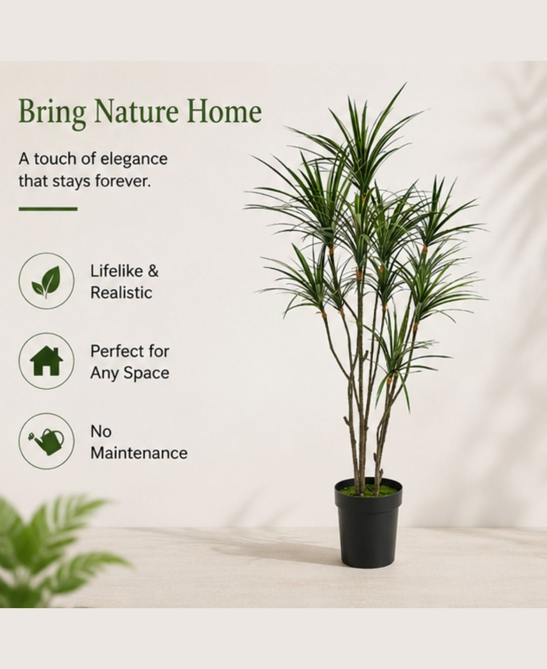 Premium Artificial Dracaena Marginata White Plant With Pot-6 FT