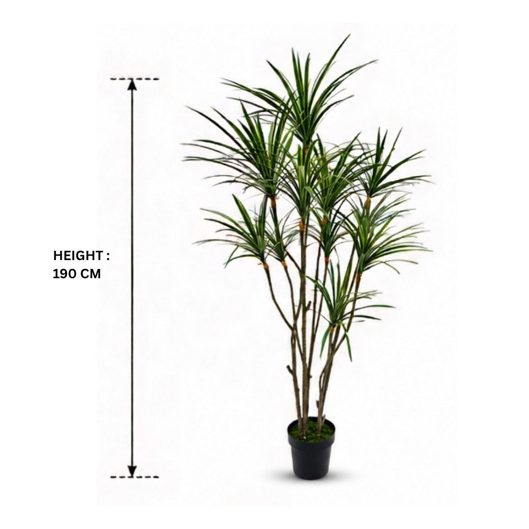 Premium Artificial Dracaena Marginata White Plant With Pot-6 FT