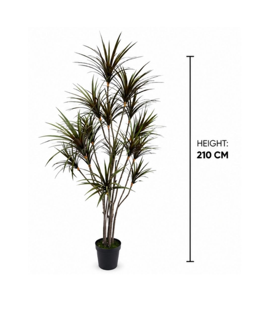 Realistic Faux Dracaena Dragon Red Green Tree With Pot- 7FT With Pot