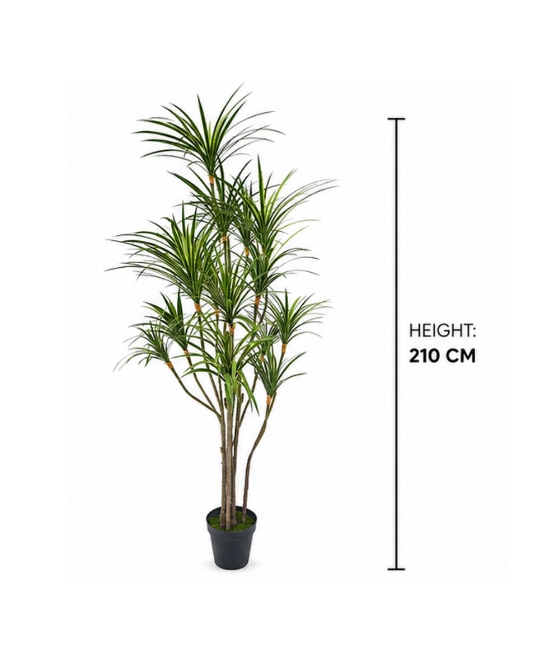 Realistic Faux Dracaena Dragon White Green Tree With Pot- 7FT