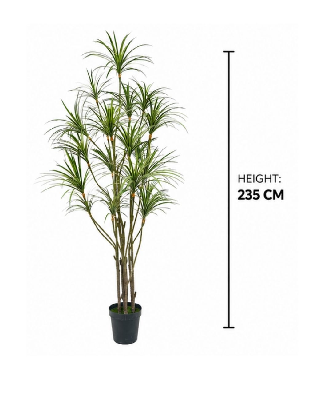 Realistic Faux Dracaena Dragon White Green Tree With Pot-8 FT