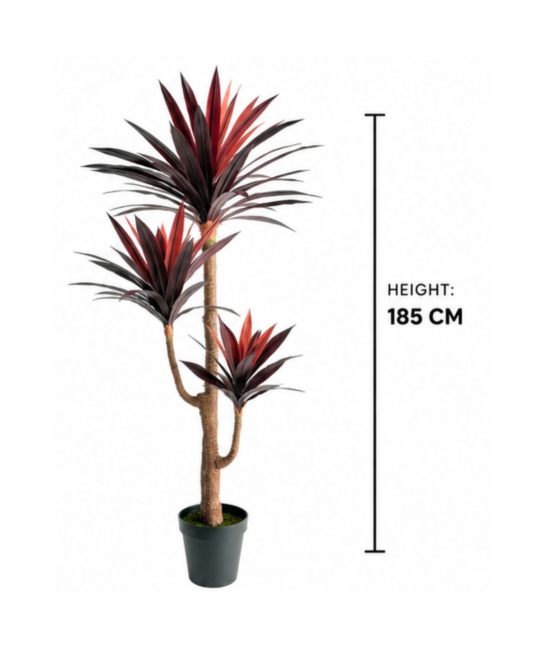 Premium Artificial Burgundy Dracaena Marginata Plant With Pot- 6FT