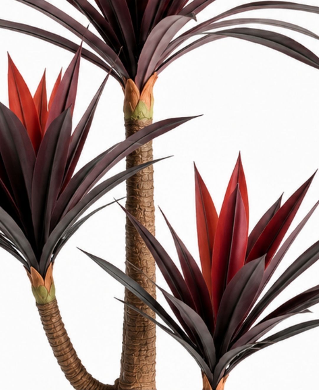 Premium Artificial Burgundy Dracaena Marginata Plant With Pot- 6FT