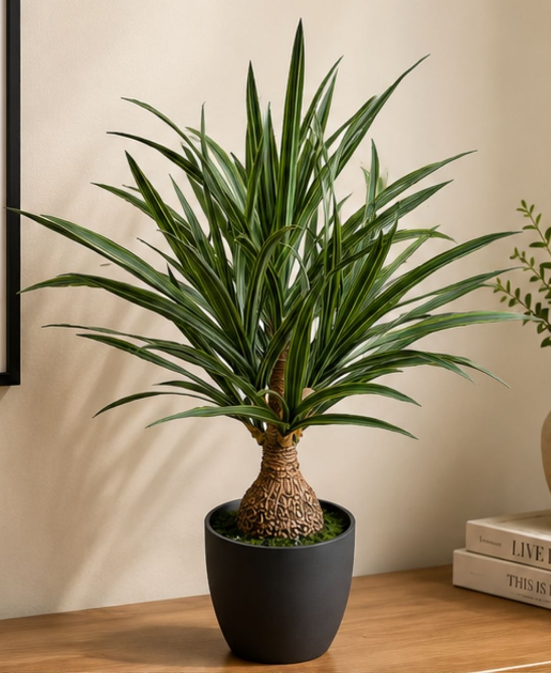 Compact Artificial Green Dracaena Plant With Pot-2 FT