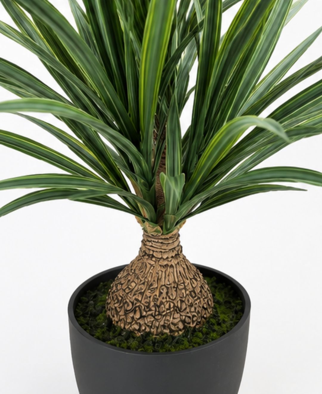 Compact Artificial Green Dracaena Plant With Pot-2 FT