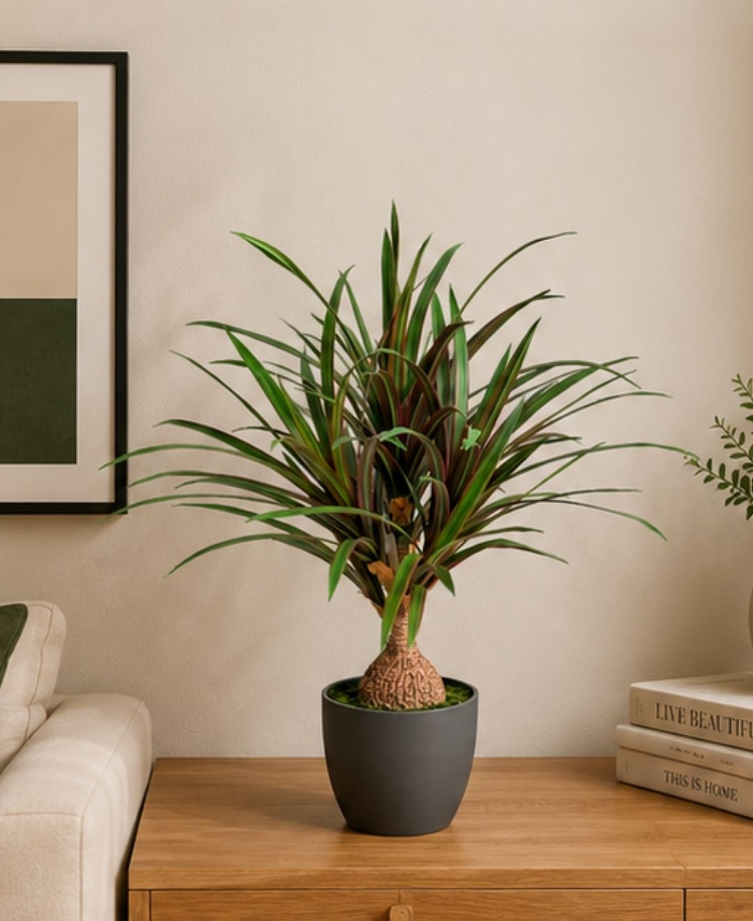 Compact Artificial Red Green Dracaena Plant With Pot-2 FT