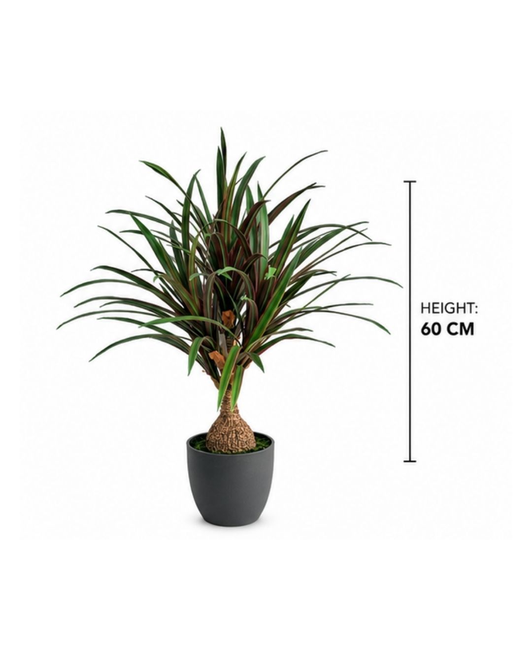 Compact Artificial Red Green Dracaena Plant With Pot-2 FT