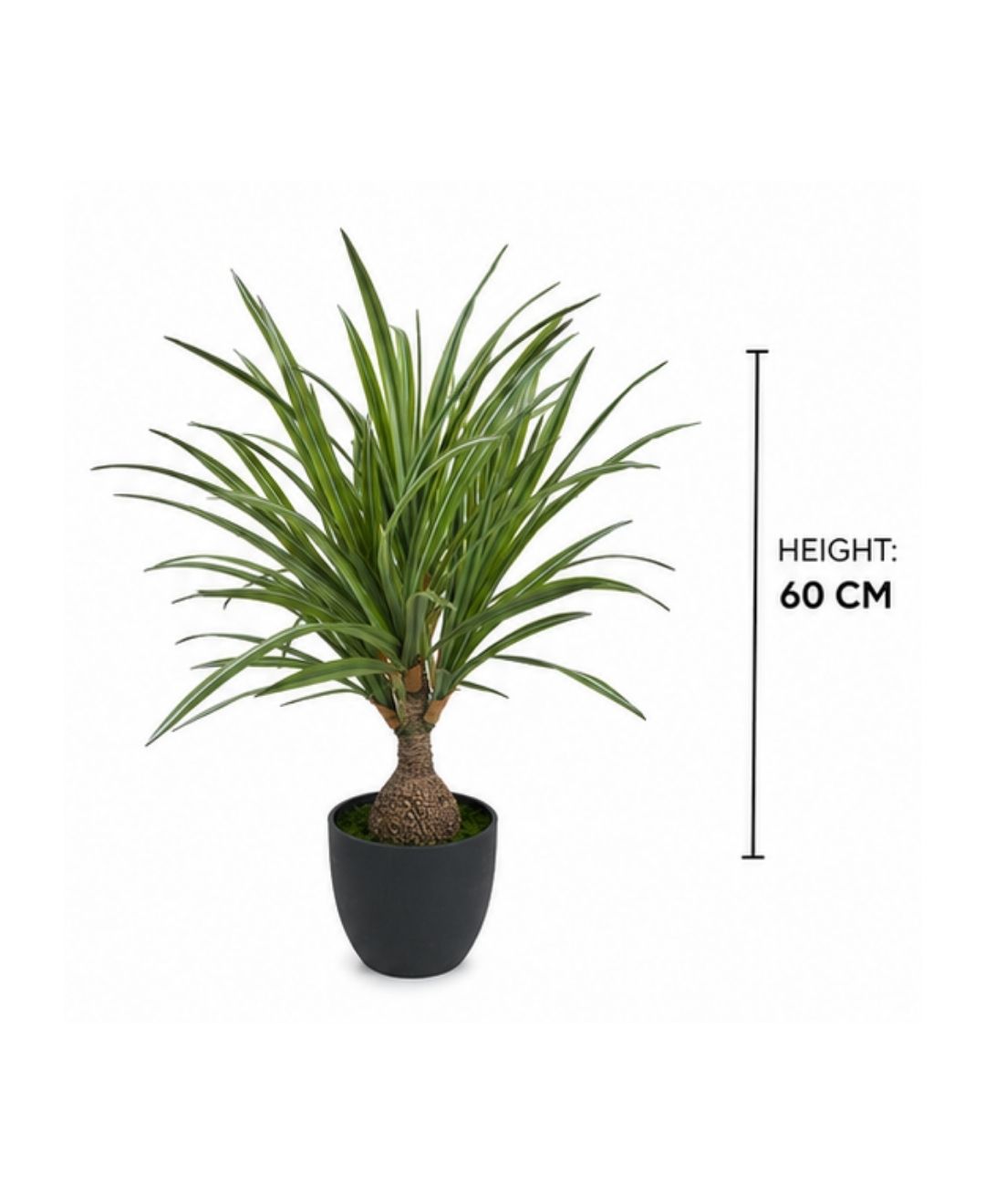 Compact Artificial White Green Dracaena Plant With Pot-2 FT