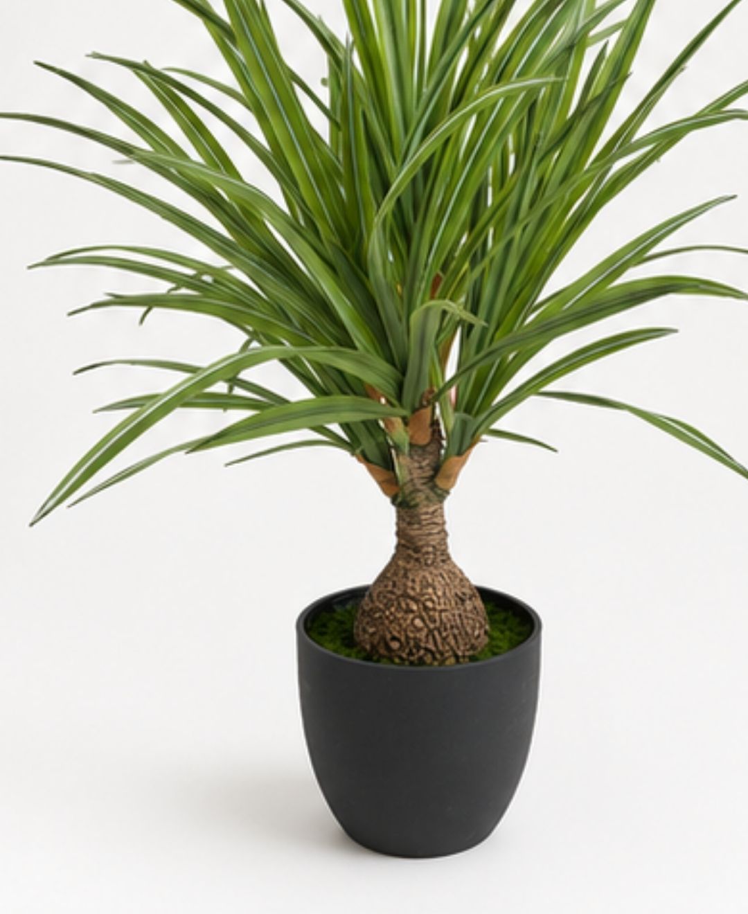 Compact Artificial White Green Dracaena Plant With Pot-2 FT