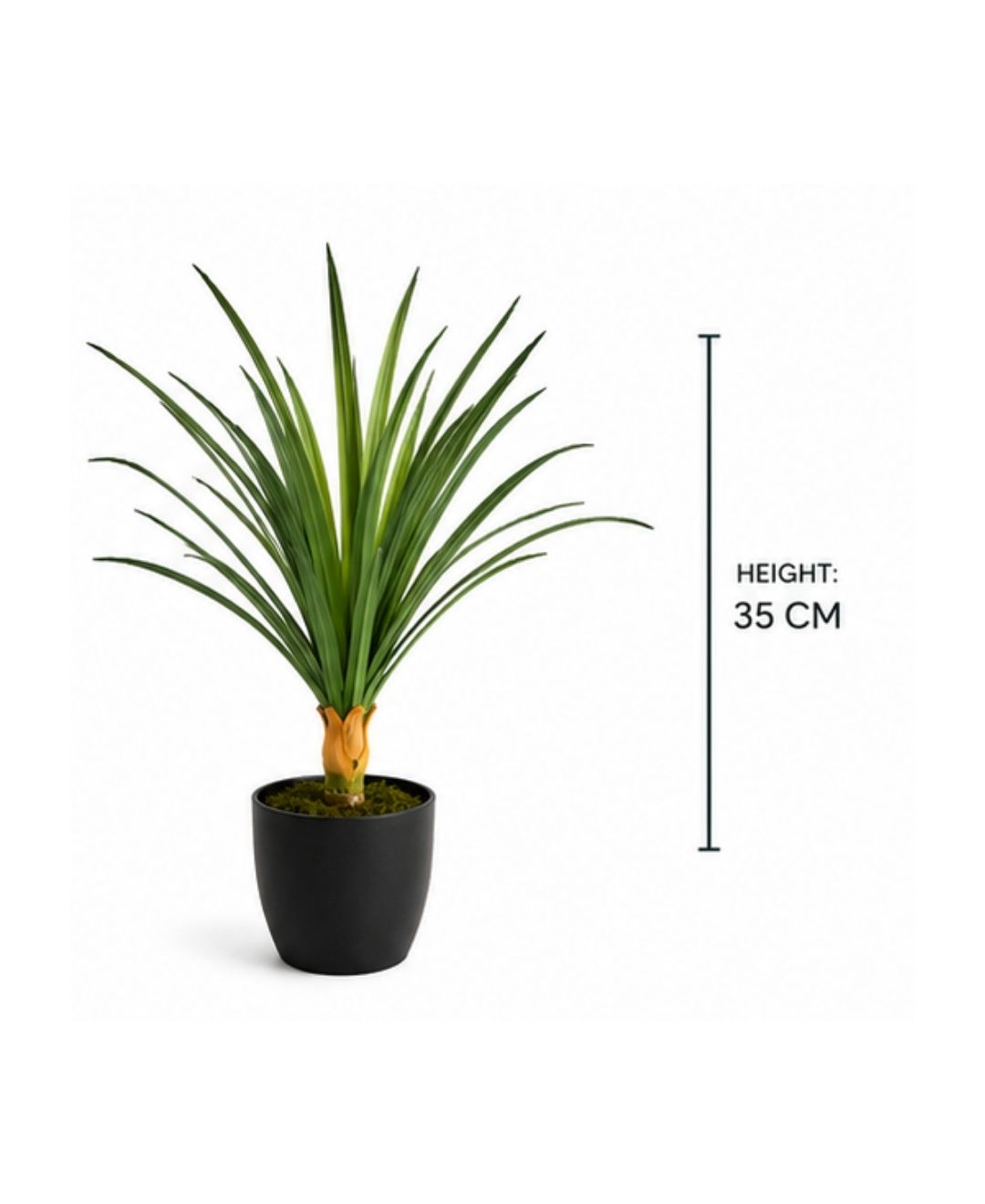 Mini Artificial Dracaena Green Plant Without Pot - 1FT