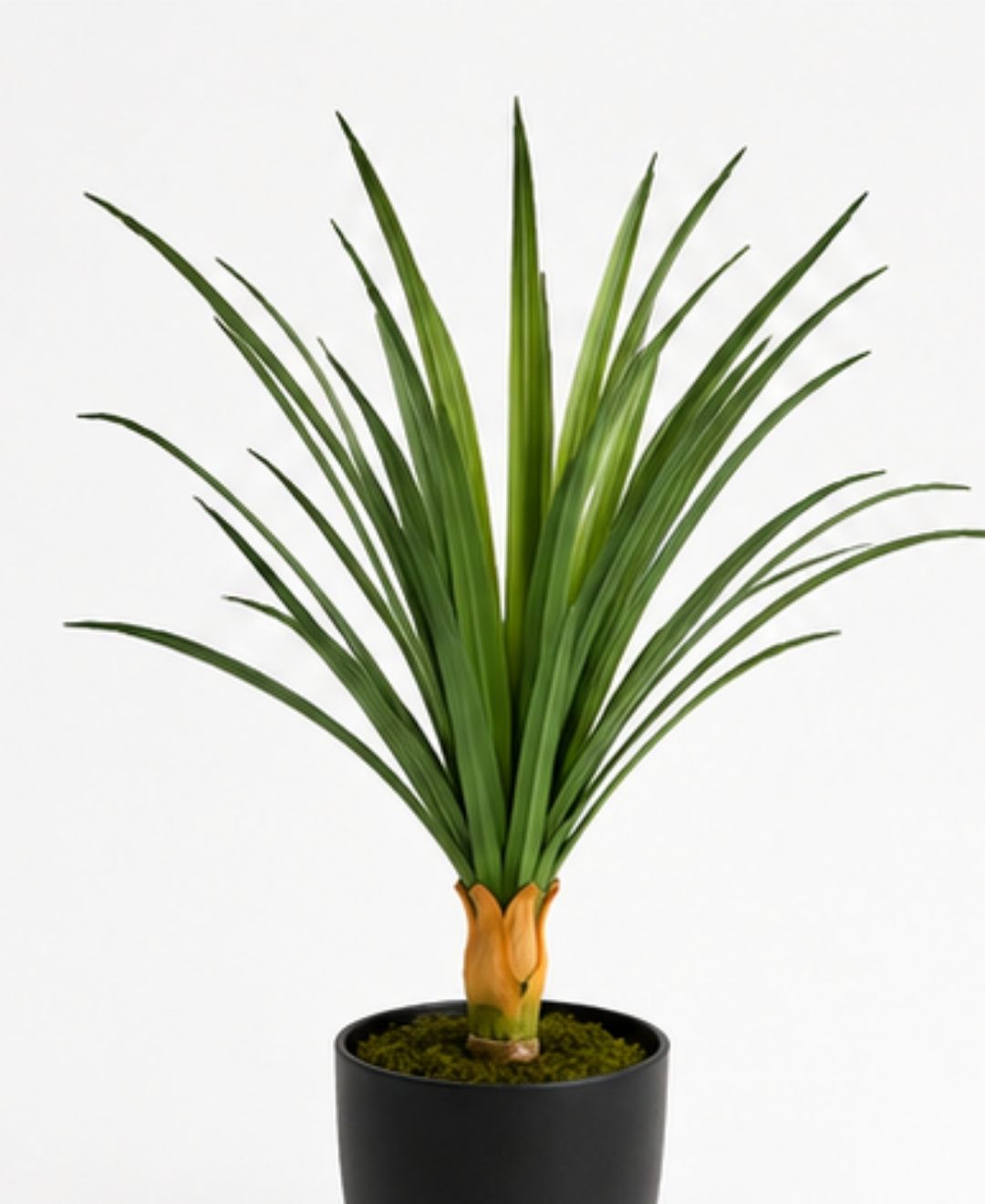 Mini Artificial Dracaena Green Plant Without Pot - 1FT