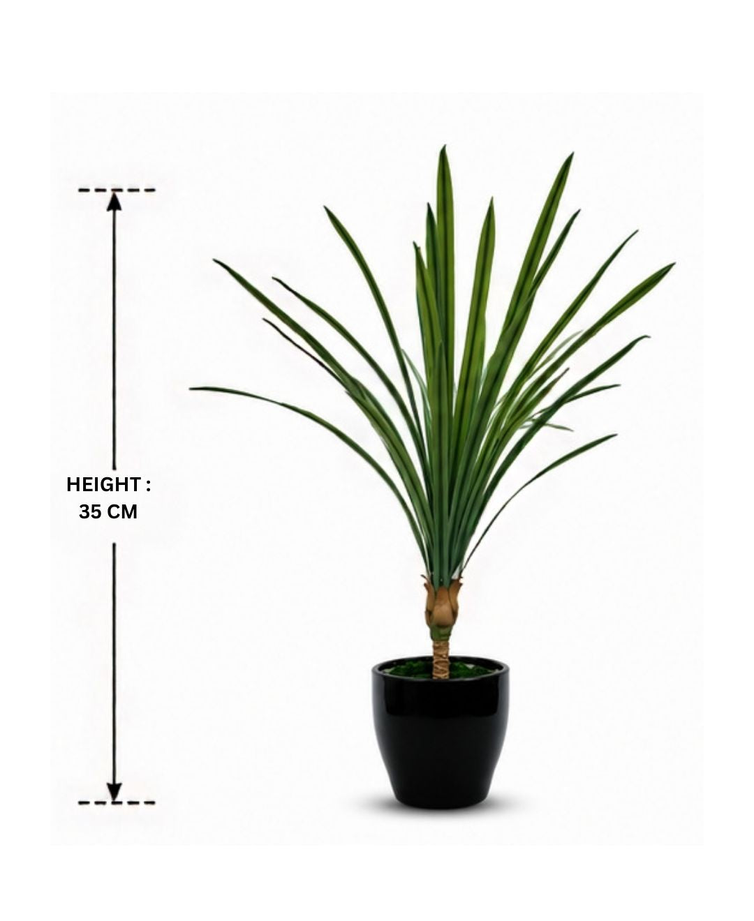 Mini Artificial Dracaena White Green Plant Without Pot - 1FT