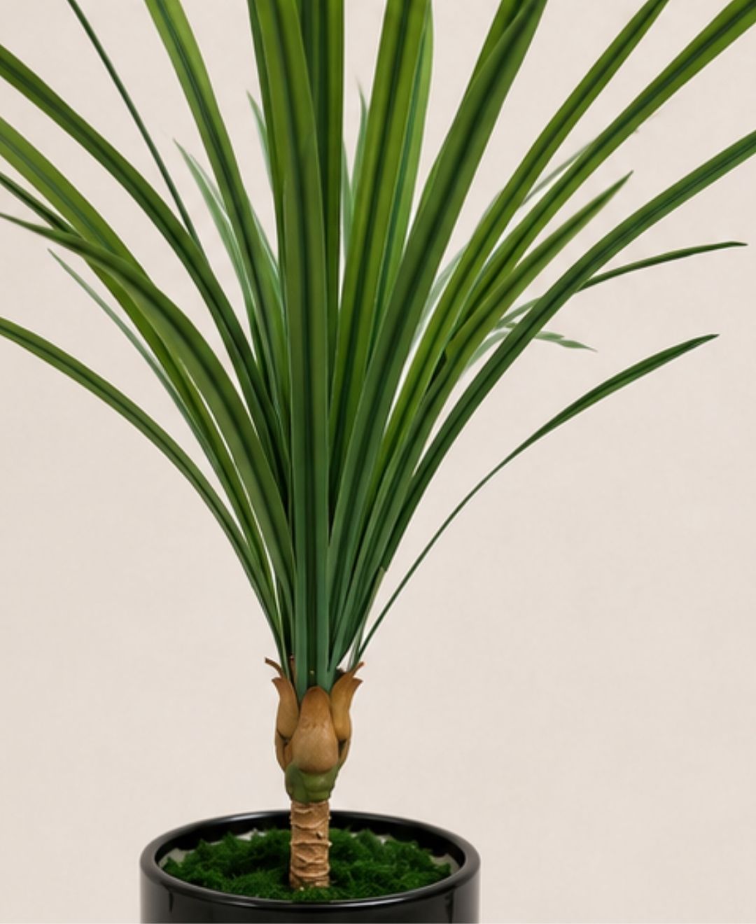 Mini Artificial Dracaena White Green Plant Without Pot - 1FT
