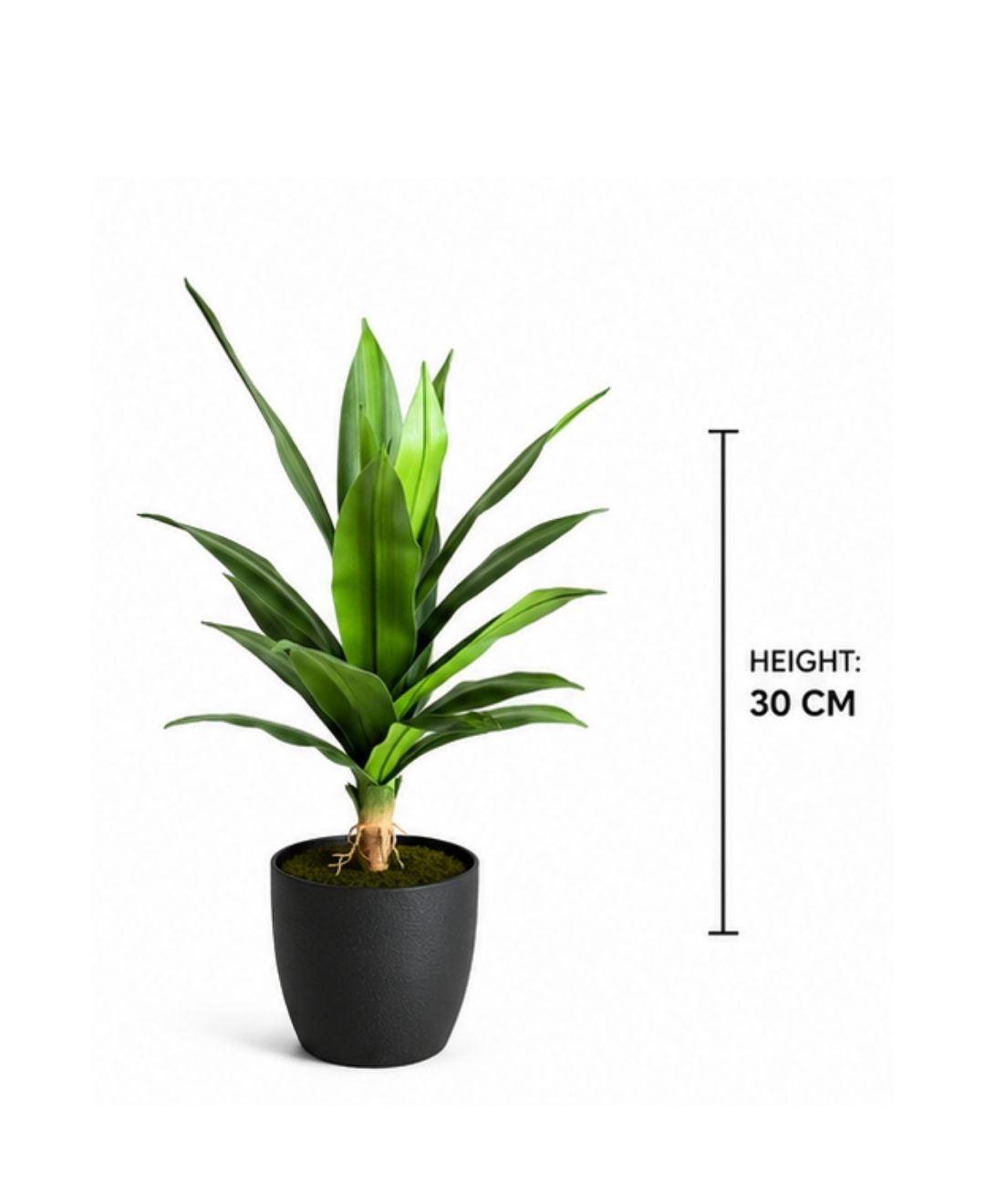 Mini Artificial Dracaena Marginata Plant Without Pot- 1FT