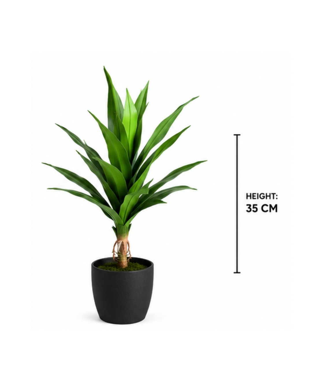 Compact Artificial Dracaena Marginata Plant Without Pot- 1FT