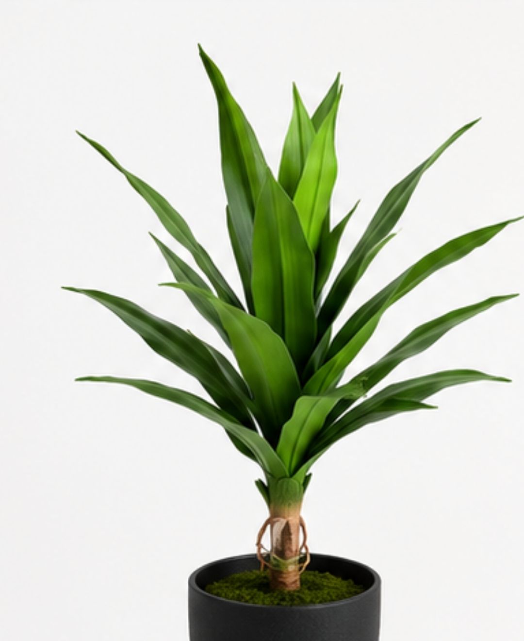 Compact Artificial Dracaena Marginata Plant Without Pot- 1FT