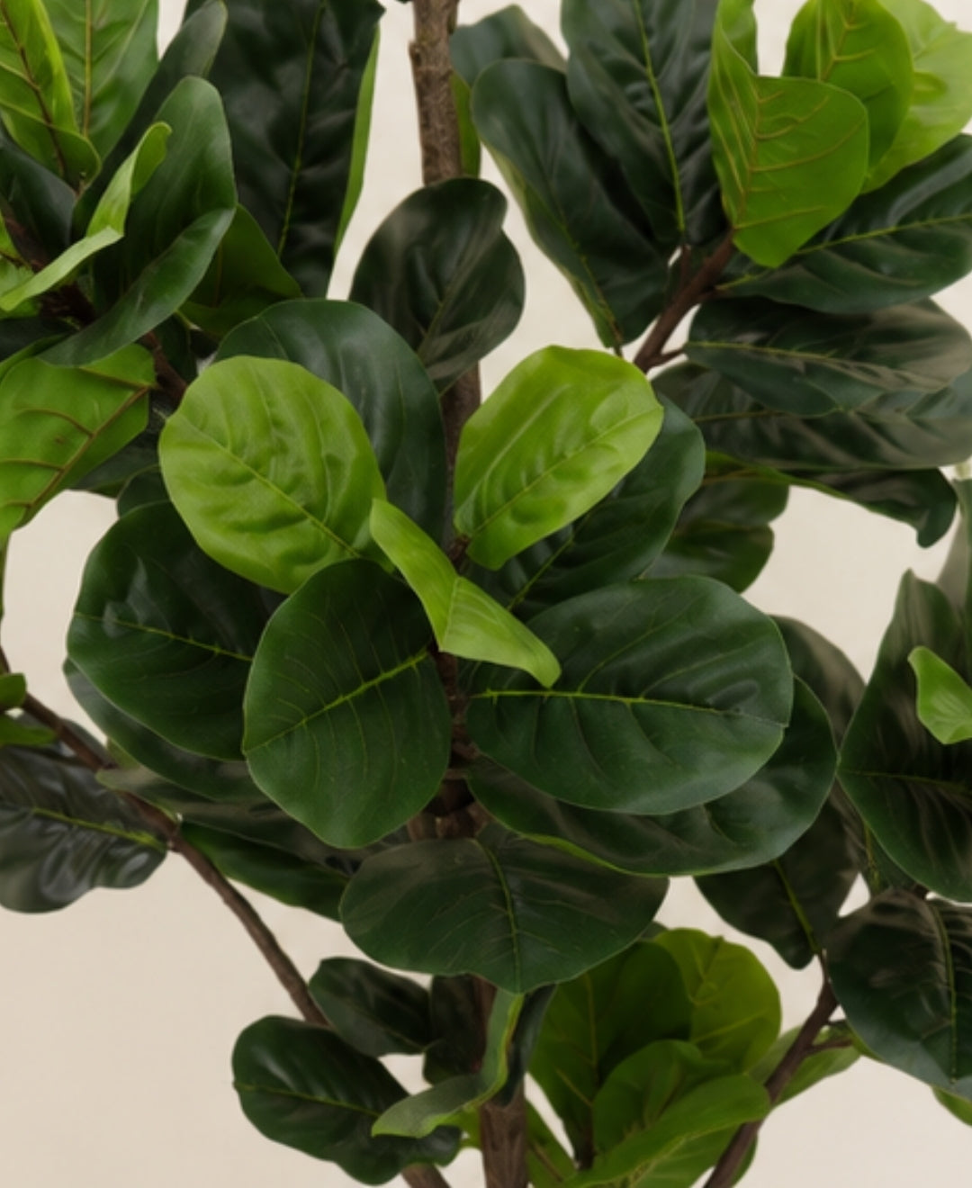 Premium Artificial Fiddle Leaf Fig Tree With Pot - 7FT