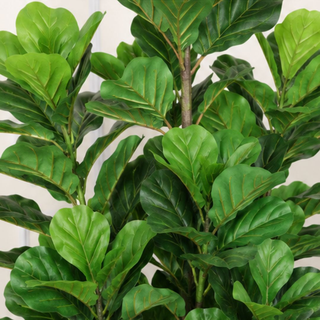 Premium Artificial Fiddle Leaf Fig Green Plant With Pot- 5FT