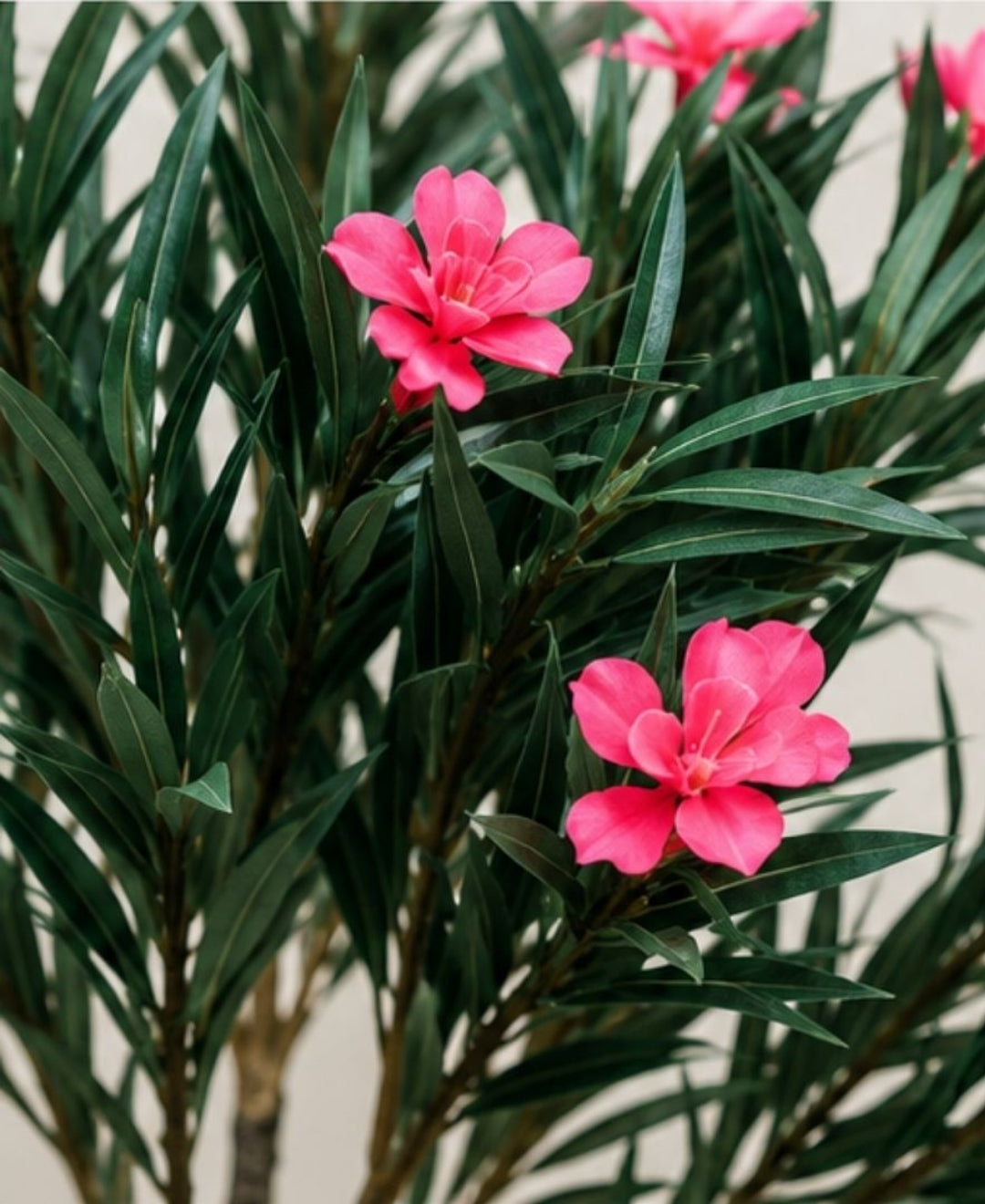 Artificial Oleander Pink Flower Plant Without Pot
