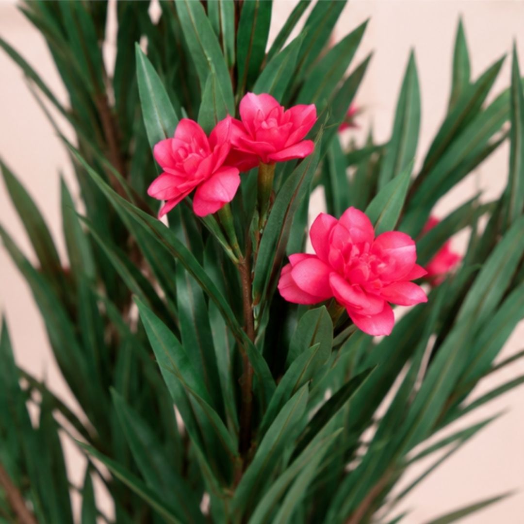 Premium Artificial Pink Oleander Flowering Tree With Pot