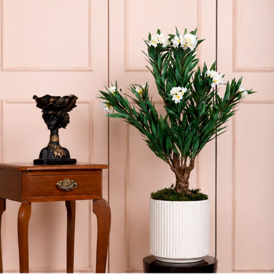 Premium Artificial White Oleander Flowering Tree With Pot