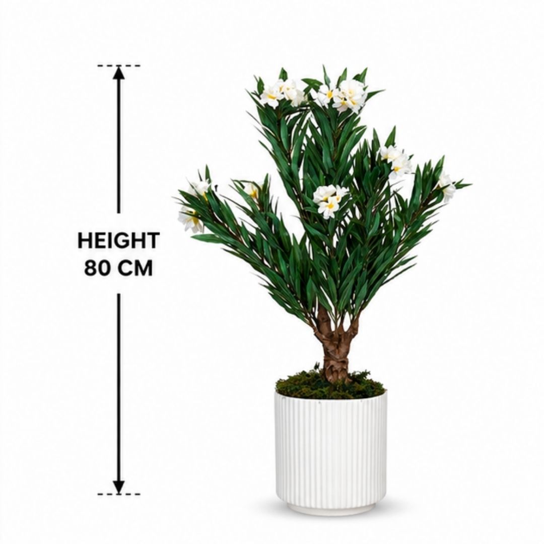 Premium Artificial White Oleander Flowering Tree With Pot