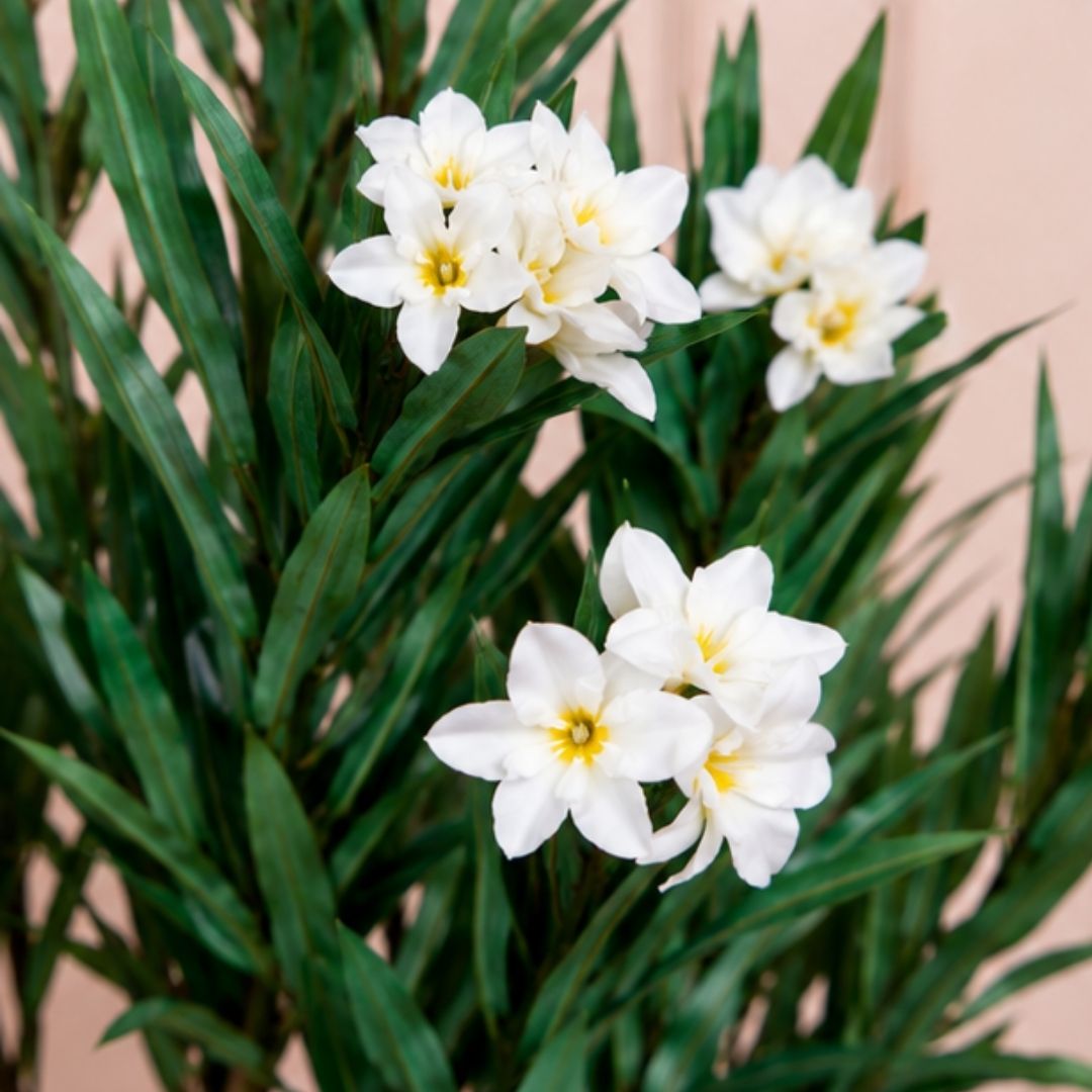 Premium Artificial White Oleander Flowering Tree With Pot