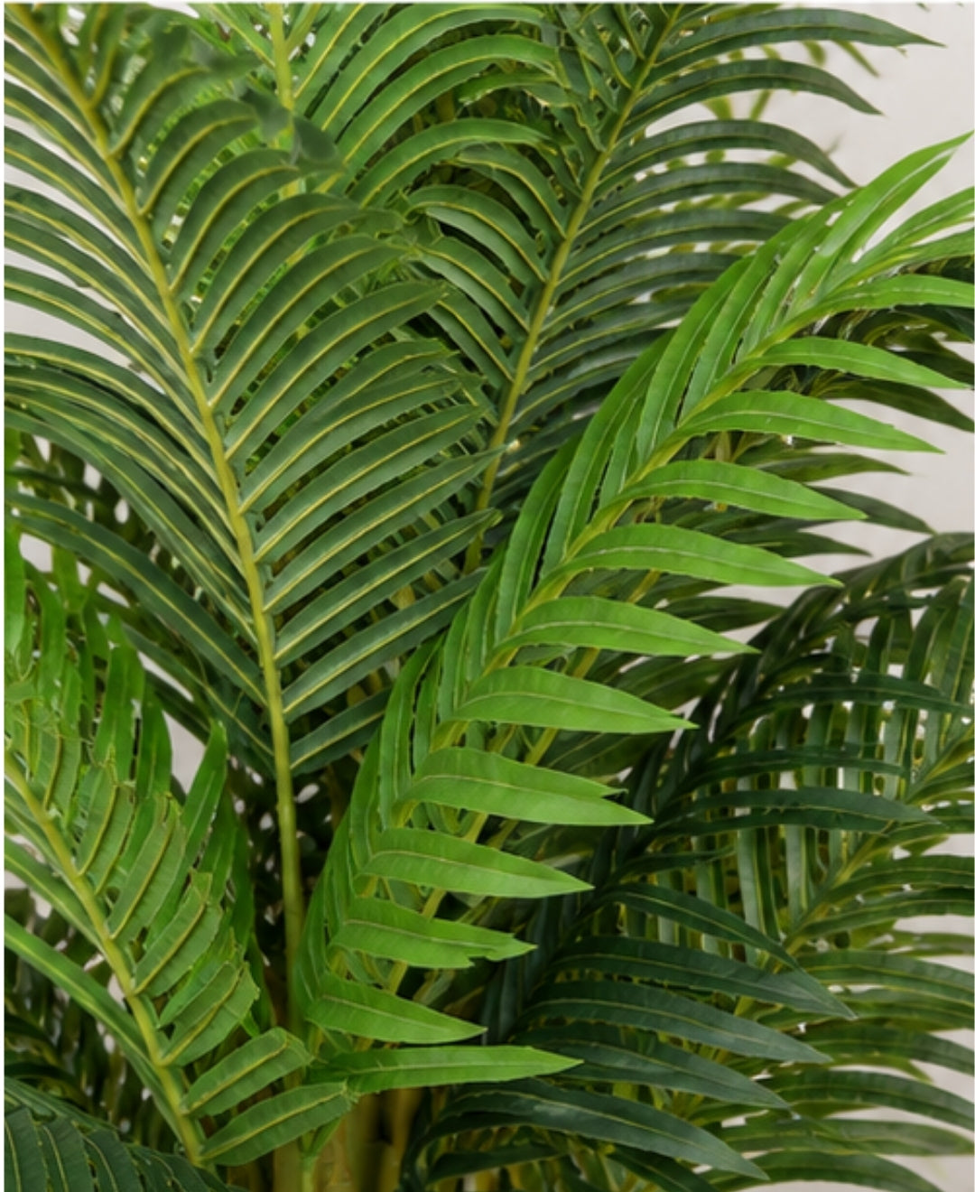 Luxury Artificial Areca Palm Tree With Pot - 6FT
