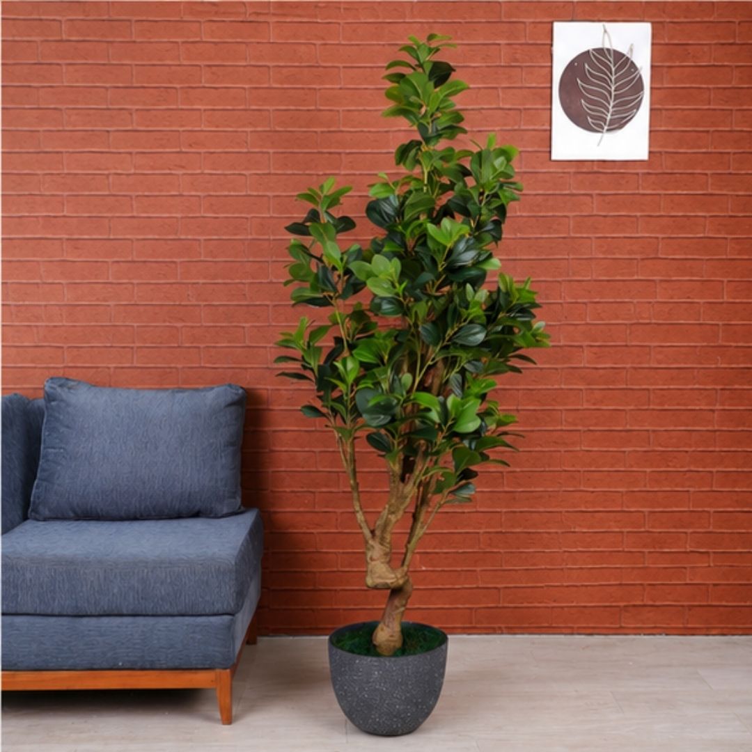 Artificial Peperomia Plant Without Pot- 6FT