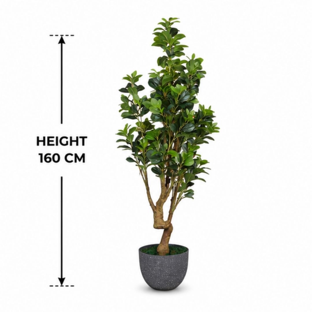 Artificial Peperomia Plant Without Pot- 6FT