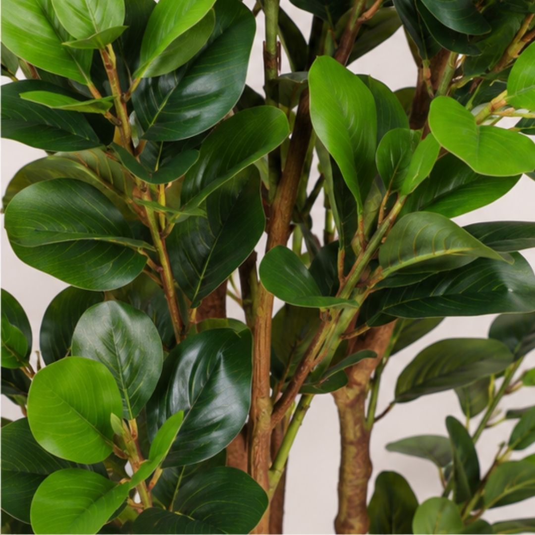 Artificial Peperomia Plant Without Pot- 6FT