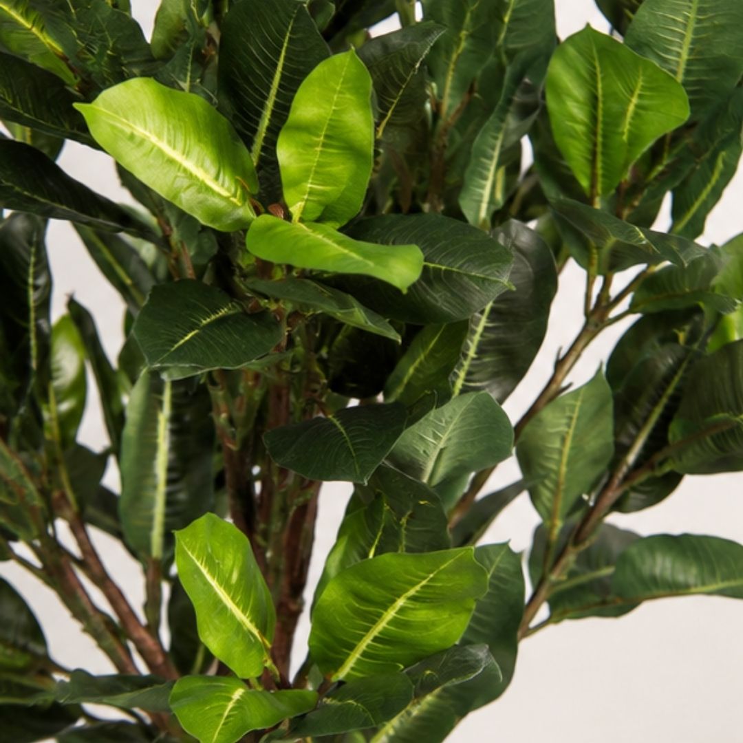 Compact Artificial Quercus Tree Without Pot