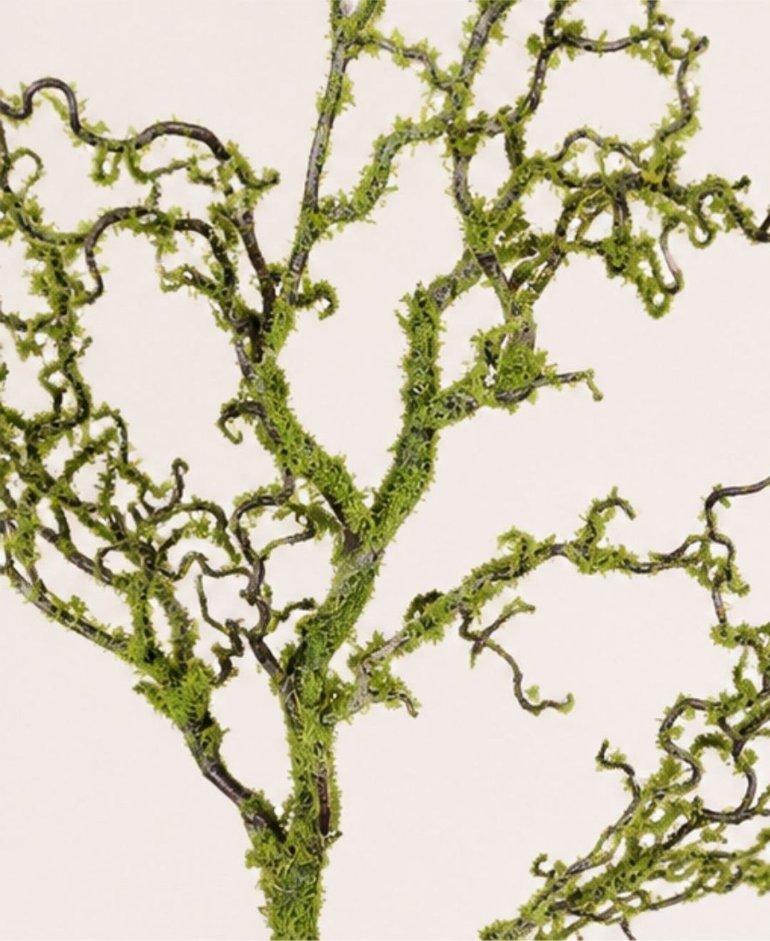 Premium Faux Curly Willow Decorative Branch Without Pot-3FT