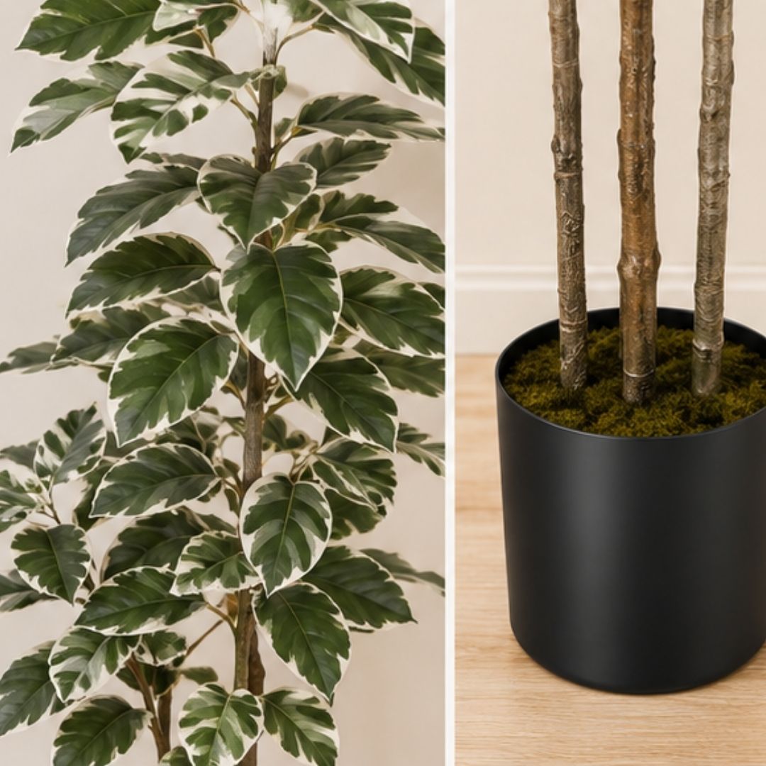 Premium 6FT Faux Rubber Plant with Pot — White & Green