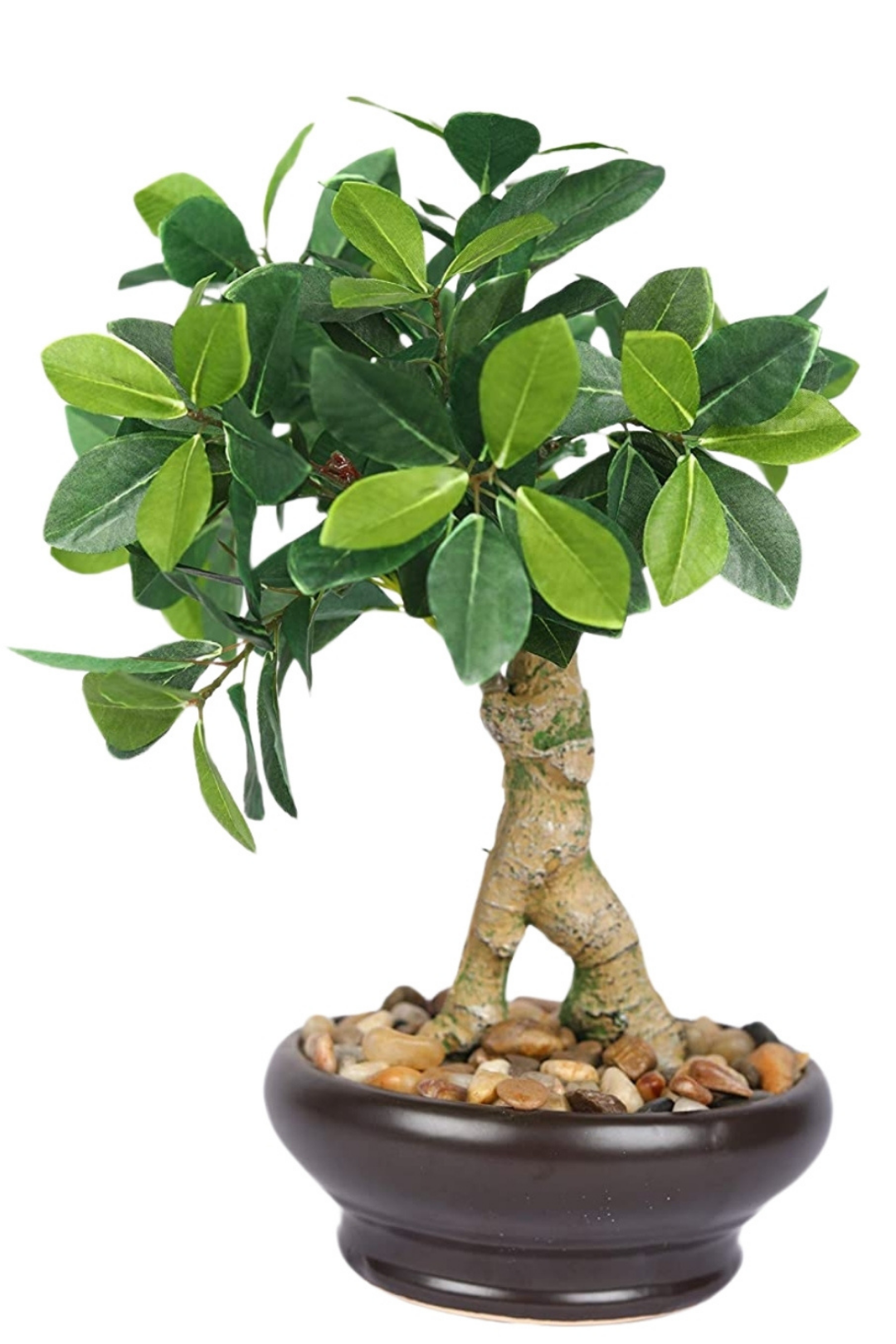 Elegant Ceramic Vase Artificial Bonsai