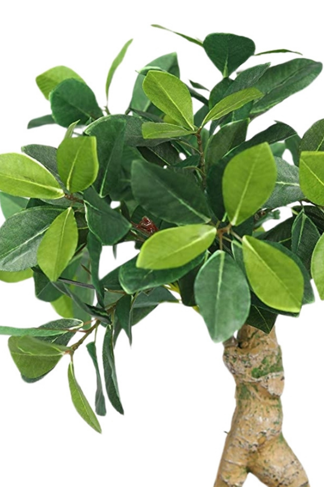 Elegant Ceramic Vase Artificial Bonsai