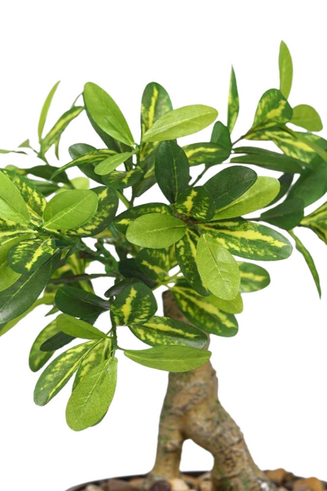 Elegant Ceramic Vase Artificial Bonsai