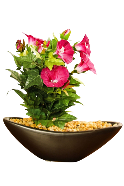 Everlasting Elegance – Artificial Bonsai in Ceramic Vase