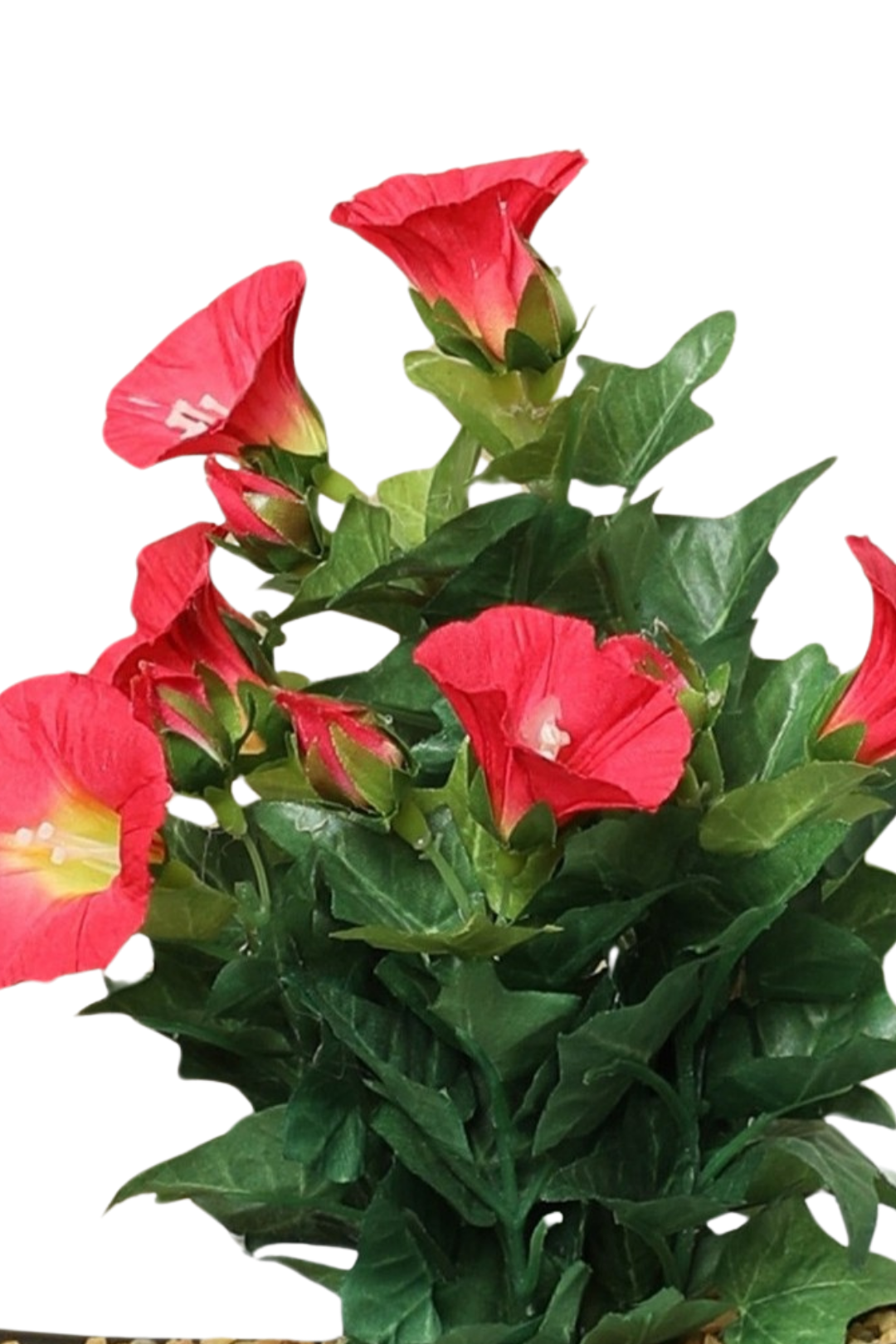 Everlasting Elegance – Artificial Bonsai in Ceramic Vase