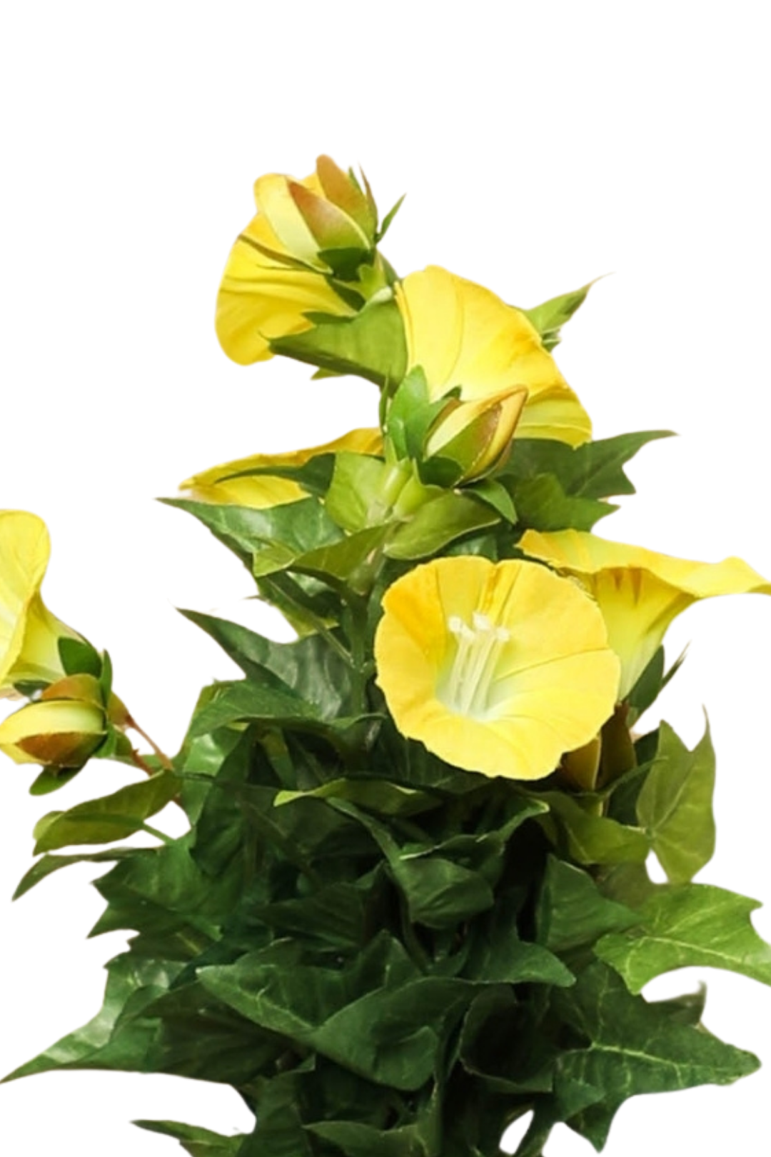 Everlasting Elegance – Artificial Bonsai in Ceramic Vase