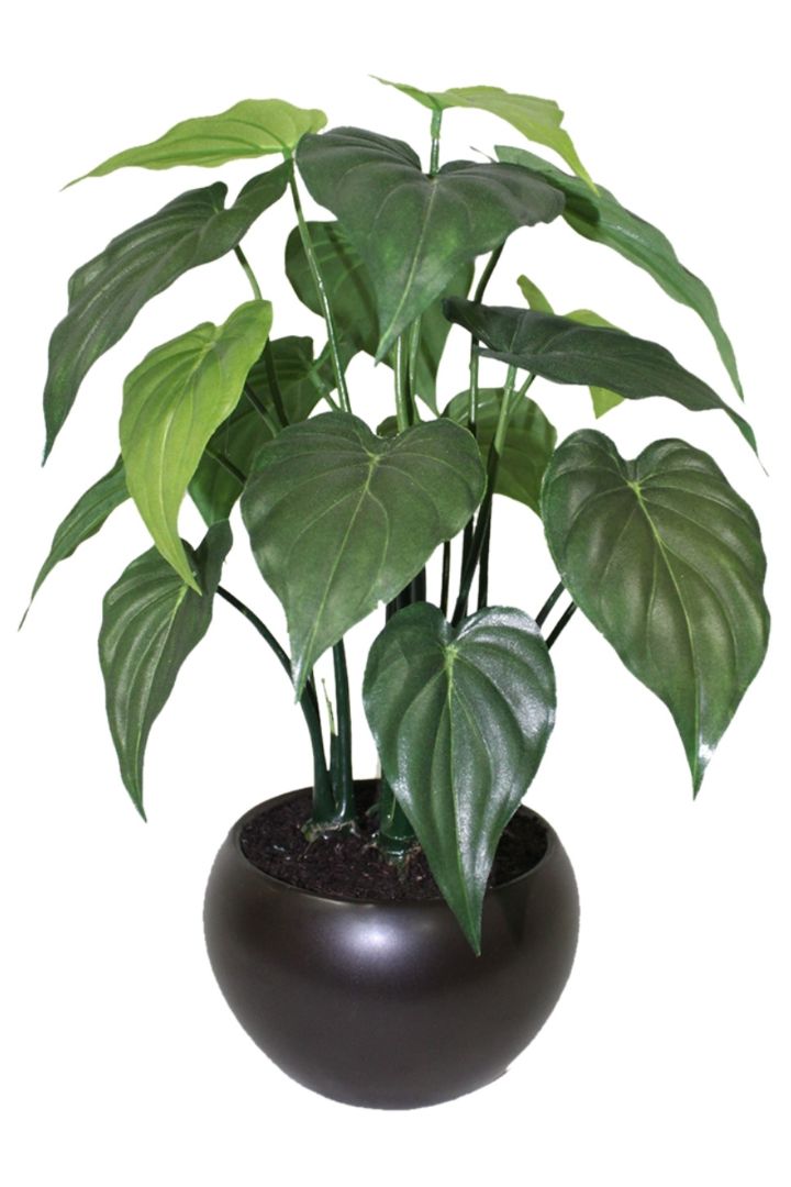 Artificial Bonsai – Effortless Elegance for Every Space