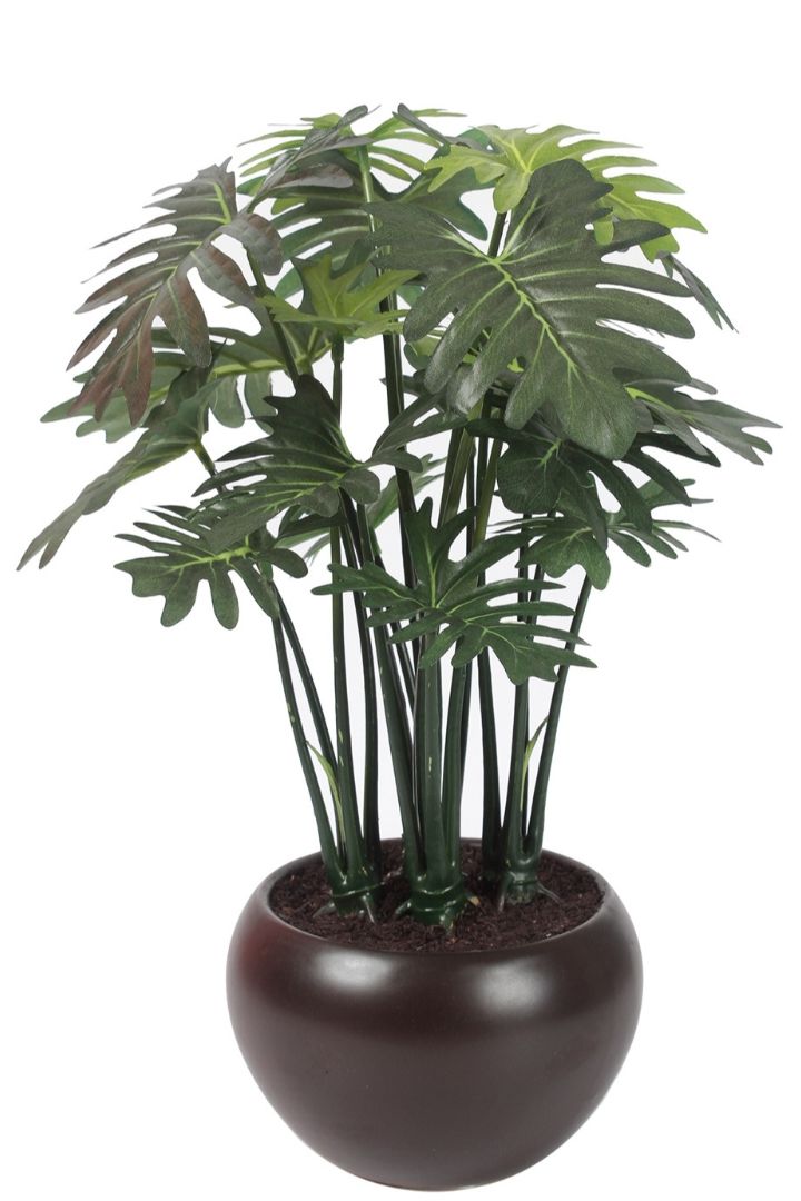 Artificial Bonsai – Effortless Elegance for Every Space