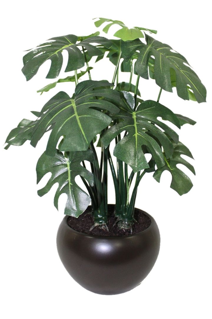 Artificial Bonsai – Effortless Elegance for Every Space
