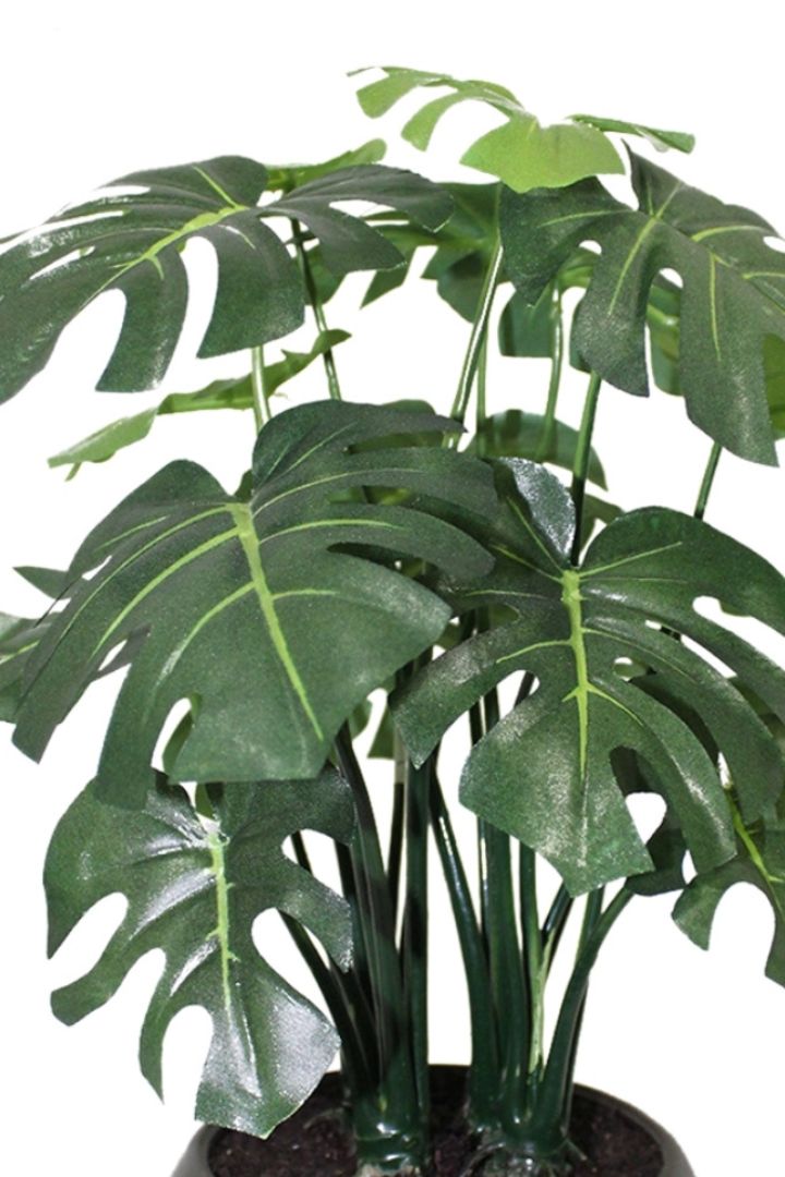 Artificial Bonsai – Effortless Elegance for Every Space