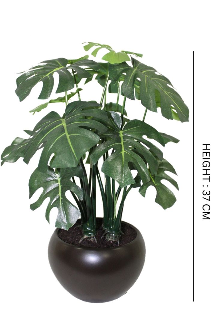 Artificial Bonsai – Effortless Elegance for Every Space