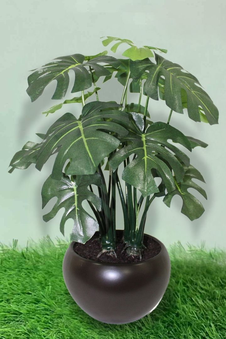 Artificial Bonsai – Effortless Elegance for Every Space